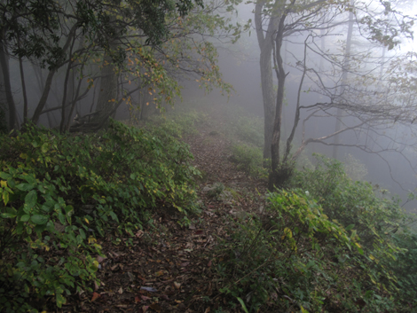 20151021hike (217)